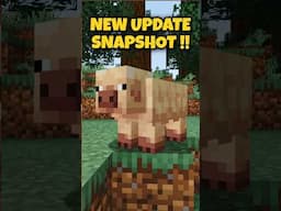 MINECRAFT NEW UPDATE IS CRAZY !!