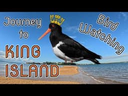 Bird Watching at King Island, Wellington Point, QLD, Australia