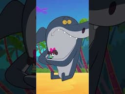 Sua família é procurada #Shorts #Zigandsharko Zig & Sharko | Cartoon for kids