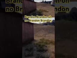 RIP Brandon