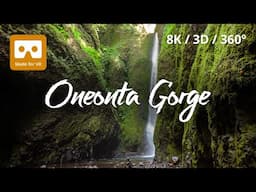 Oneonta Gorge & Lower Oneonta Falls 8K 360 VR Experience