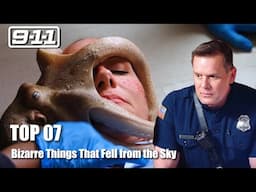 Top 7 Bizarre Things That Fell from the Sky in 9-1-1