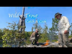 4 Days WILD TROUT Fishing & Camping in the WILDERNESS | A Remote Canoe Camping Adventure in Canada