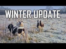 HEAVY Freezing For the Winter Farm - Update on Farm Changes