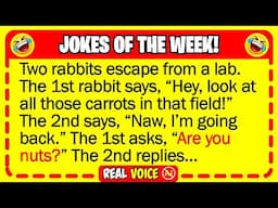 🤣 BEST JOKES OF THE WEEK! - Two lab rabbits decide to make a break for it... | Funny Dad Jokes