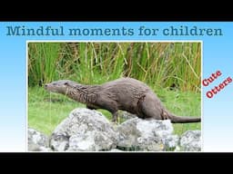 Mindful Moments for Children | Cute Otters | Kid’s well-being