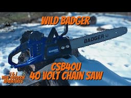 Wild Badger 16" - 40 Volt Chainsaw