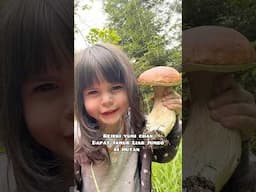 Oseng Jamur Liar hasil berburu di Hutan 👌🏻 #mushroom #steinpilze #shortvideo #mushroomhunter #mom