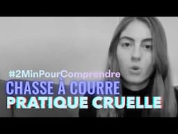 Chasse à courre : en finir avec cette pratique cruelle et féodale