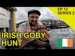 Tracking Rare Irish Fish: Species Hunt (EPISODE 32)