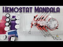 Tie Dye Designs:  Ice Dyed Hemostat Mandala (Can you have too many color splits?)