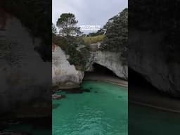 This is CATHEDRAL COVE in NEW ZEALAND #cathedralcove #nzroadtrip #travel #caravannz