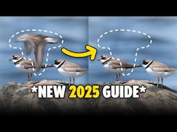 Remove ANYTHING from a Photo in Photoshop 2025!