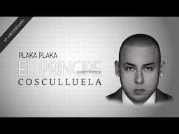 Cosculluela - Plaka Plaka (Visualizer)