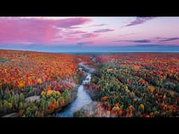 Off Grid in the Adirondacks 🍁 Autumn Foliage Hunting