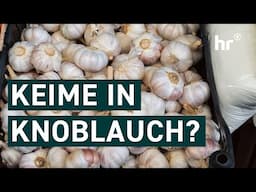 Knoblauch im Test: Stecken Schadstoffe in der Knolle? | Die Ratgeber