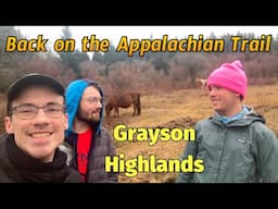 Pony Bluff Charges Hikers in the Grayson Highlands