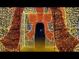 Festival of Lights at Moody Gardens, Galveston