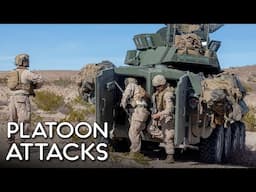 Platoon Attacks with U.S. Marines 2nd Light Armored Reconnaissance (LAR) 2025