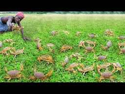 MUD CRABS HUNTING | களி நண்டு வேட்டை | Delicious and Healthy Crabs Soup