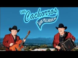 Los Cachorros de Juan Villarreal - Yo Soy de Badiraguato (2024) Live