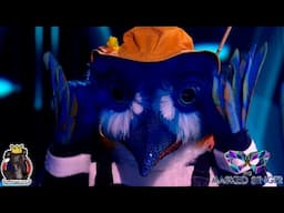 Kingfisher Unmasking The Masked Singer 2025 Top 7 S06E06