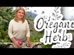 The Powerful Natures Antibacterial Herb~ OREGANO