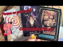 Person on your mind : Current Feeling/emotions of your person💞🫣Hindi tarot card reading