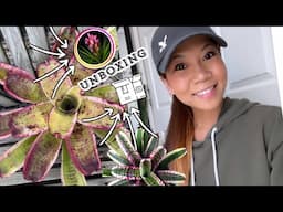 2023 Tropiflora Plant Unboxing 📦 #bromeliads 🌿