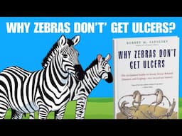 Why Zebras Don't Get Ulcers Summary (Animated) | How Stress Affects Your Body