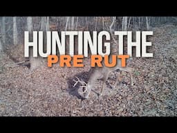 How To Hunt The Pre Rut