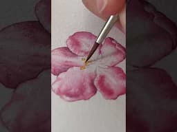 Watercolour Botanical Art | Crab Apple Blossom #botanicalillustration  #watercolor #art #painting