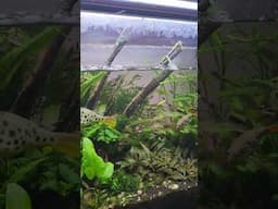 Water changes my way