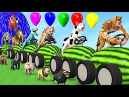 Guess The Right Balloon Elephant Cow Tiger Wolf Gorilla Long Slide Paint Animal Fountain Crossing