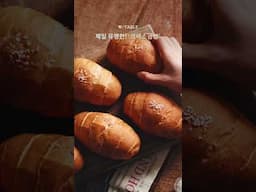 [🔴공구오픈] 입소문 난 광주 로컬 맛집! '그로서리 인 문형' 갓 구운 소금빵 6종 🥐✨