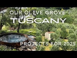 OUR OLIVE GROVE IN TUSCANY   2025 PLANS!