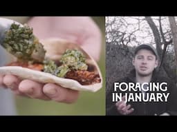 What to Forage in January? | Week 2 - Wild Rabbit Taco Recipe 🐇🌮