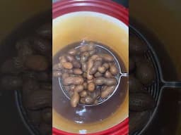 Making Cajun Boiled Peanuts in my Swamp Bucket 🔥🥜