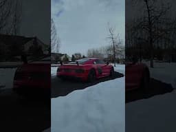 R8 in the snow