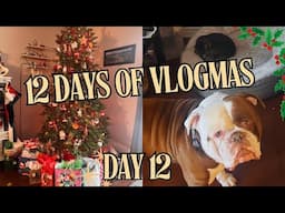 12 DAYS OF VLOGMAS  DAY 12 | Special Ornaments | Making Pet Ornaments | Last minute Holiday shopping