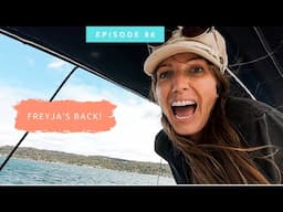 MUTINY! Finding Avalon Gets a New Captain As We Sail to an Australian Wildlife Paradise ~ Vlog 86