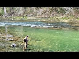 Not as Easy as You'd Think - Olympic Peninsula Steelhead Fishing