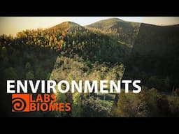 Epic Environments Made Easy | Using Biomes in Houdini