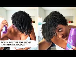 🌿 BEST Products to Wash Short Tapered Microlocs! ✨ Keep Your Locs Fresh & Healthy! #microlocs