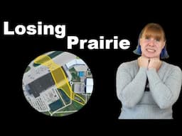 Is it too late to save this prairie?