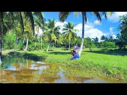 FISH CURRY COOKING IN RAIN TIME | Village Style Fish Fry Recipe | Side Dish Recipes