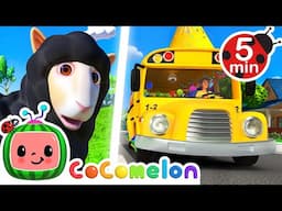 Baa Baa Black Sheep & Wheels on the party bus | CoComelon 🍉 | Nursery Rhymes For Kids