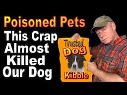 POISONED PETS - DEADLY DIET.  We Cured Our Dog With Home Made Dog Food.