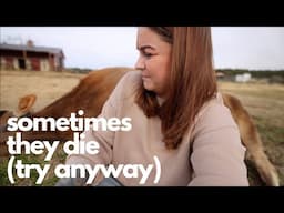 Sometimes they die (Try anyway) | VLOG