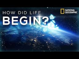 National Geographic - How Life Began | Science Documentary